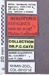 Etikette zu Platigudenzia unicus (NHMW-ZOO-COL-0010716)